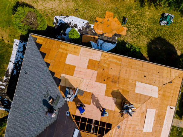 Quick and Trustworthy Emergency Roof Repair Services in Boaz, AL
