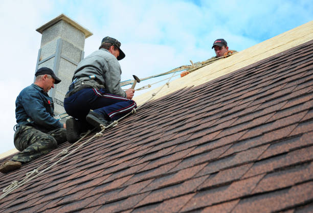 Trusted Boaz, AL Roofing Contractor Experts